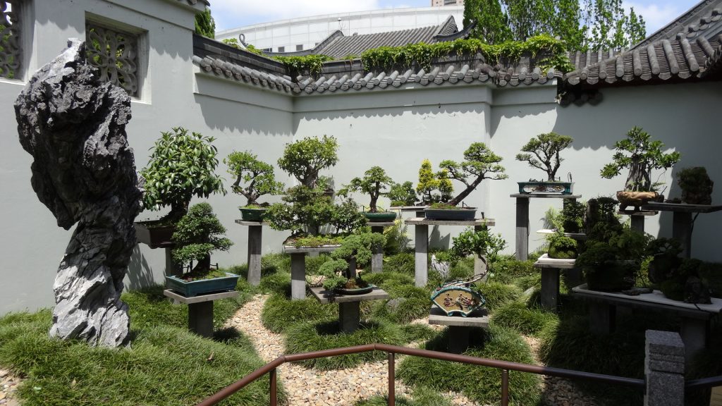 Un coin paisible dans le jardin chinois à Sydney