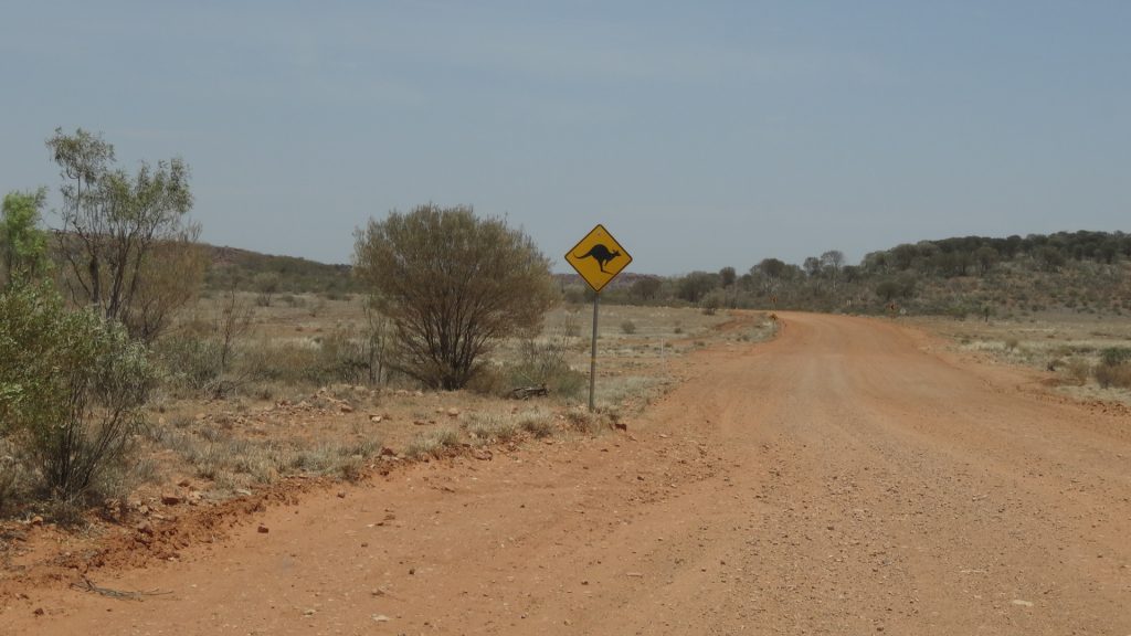 Attention aux traversées de kangourous