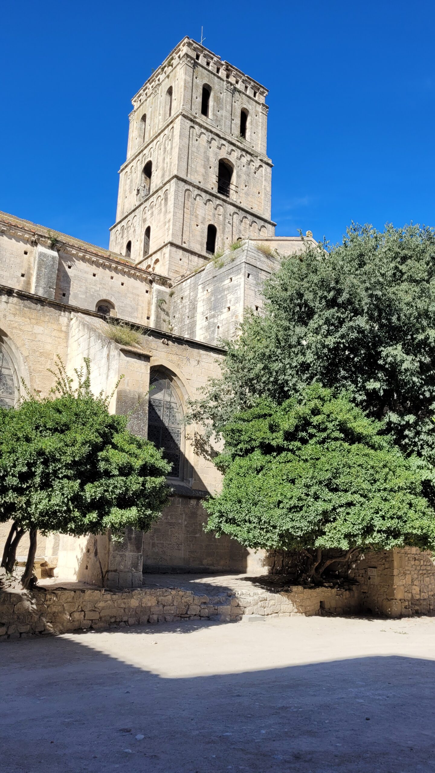 La cathédrale Saint Trophime